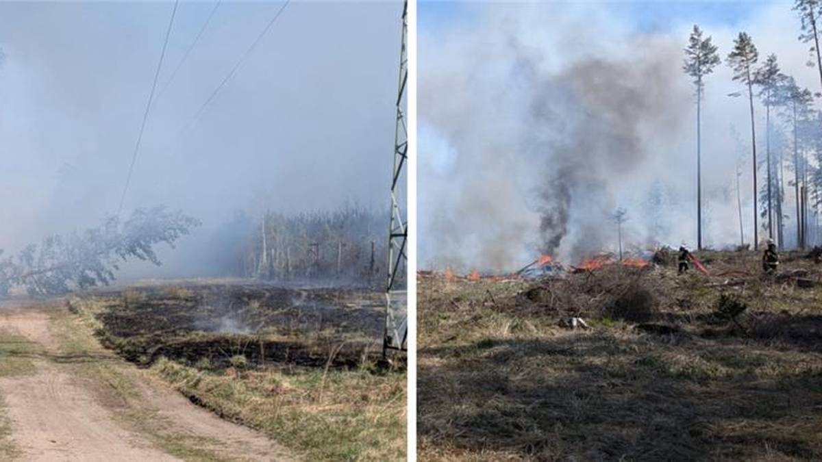 Ogromny pożar lasu na Mazurach. W akcji samoloty gaśnicze i straż z kilku powiatów