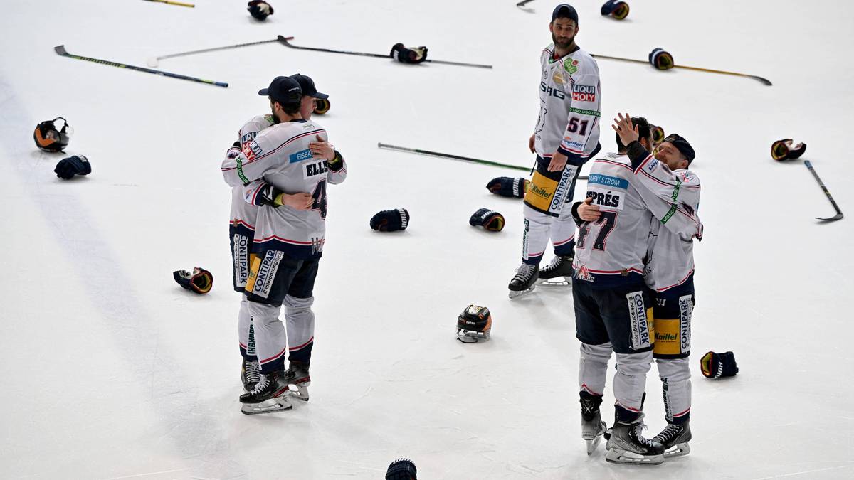 Liga Mistrzów w hokeju na lodzie: Plan transmisji pierwszych meczów 1/4 finału