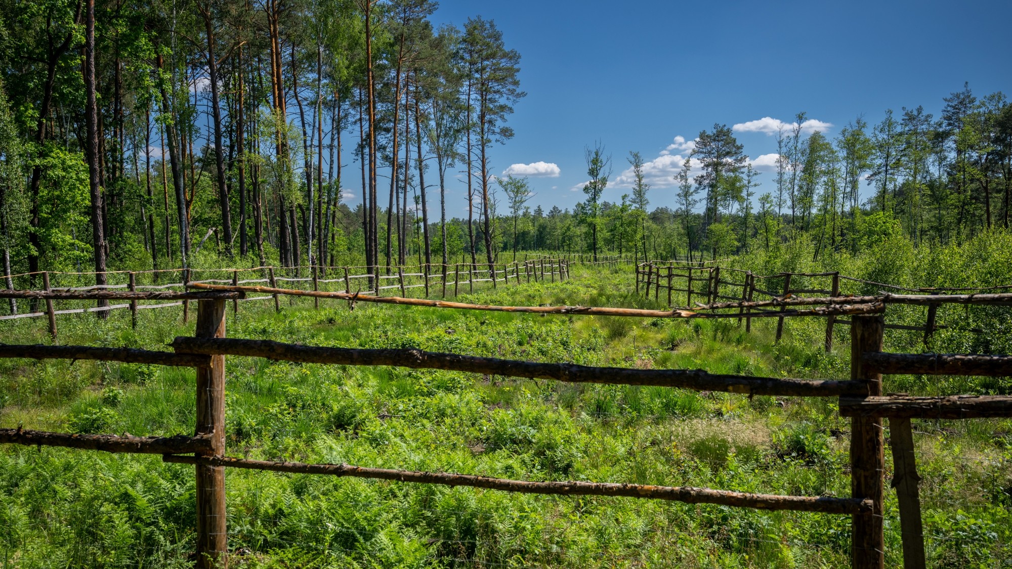 Lato na prowincji - zdjęcie 33