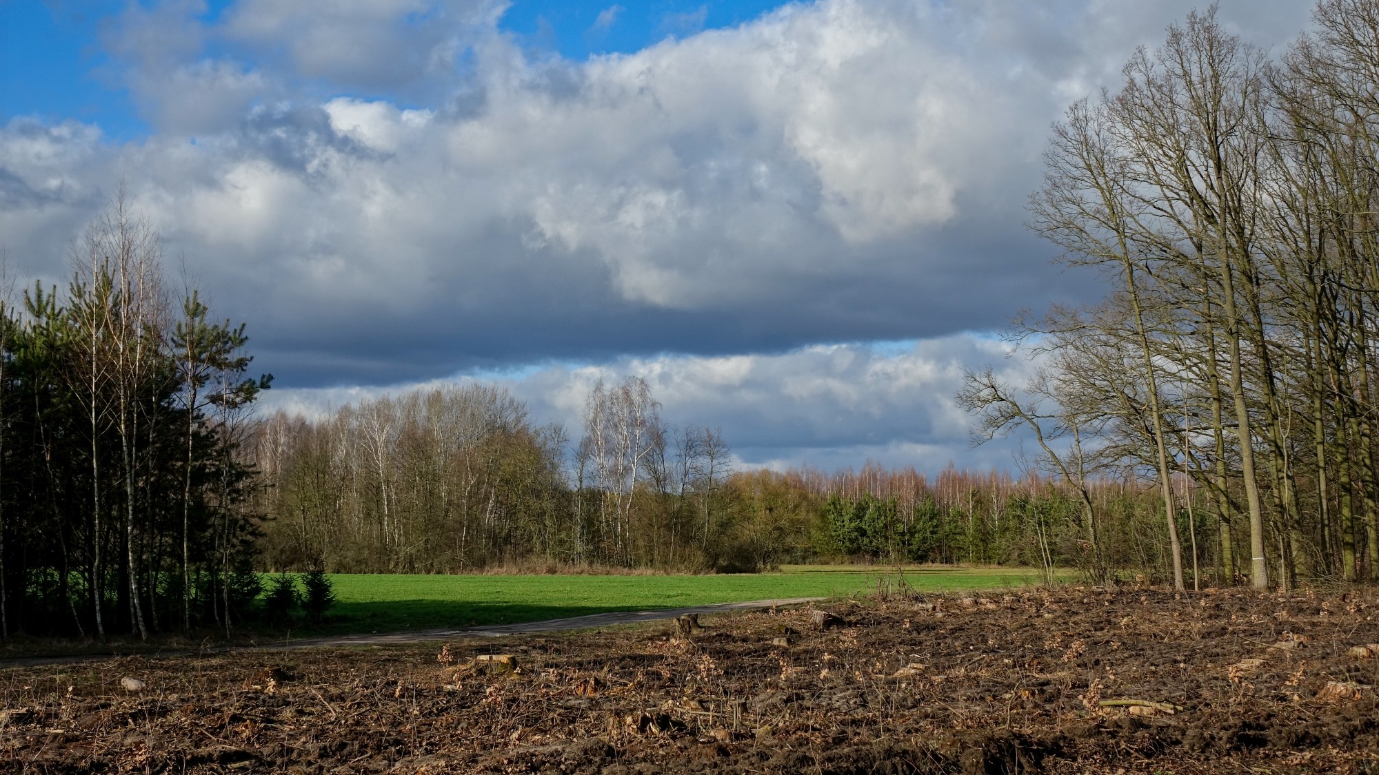 Najcieplejsza zima w historii - zdjęcie 35