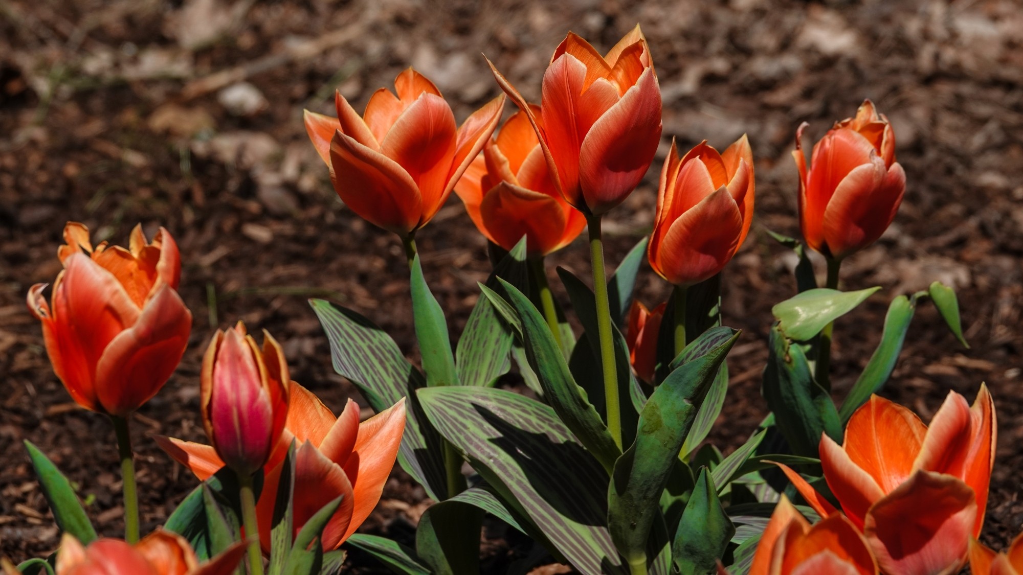 W maju jak w raju - zdjęcie 34