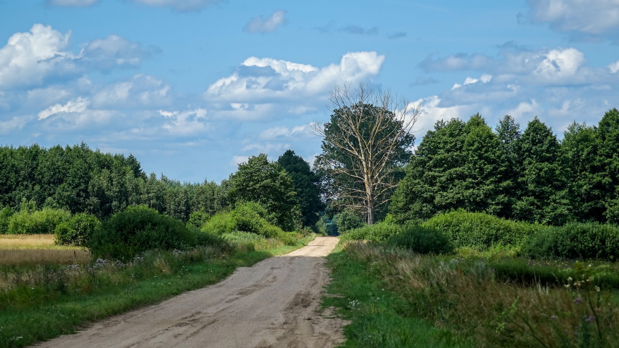 Lipiec w obiektywie - zdjęcie 21