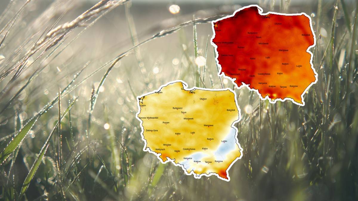 Mapa Polski z zaznaczonym rozkładem temperatur w różnych kolorach, nałożona na rozmyte tło z trawą i kroplami rosy.