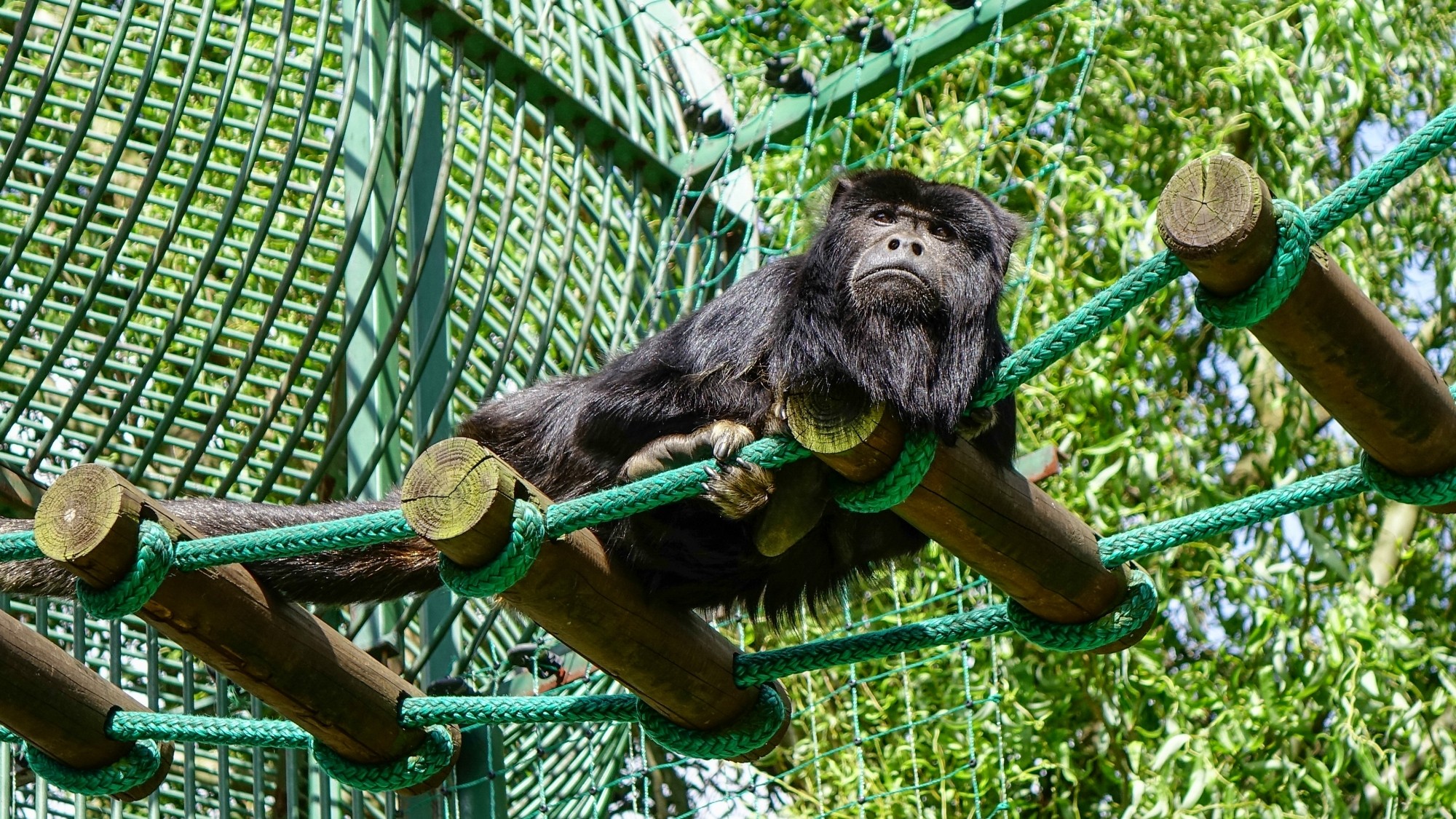 Z kamerą wśród zwierząt - zdjęcie 43