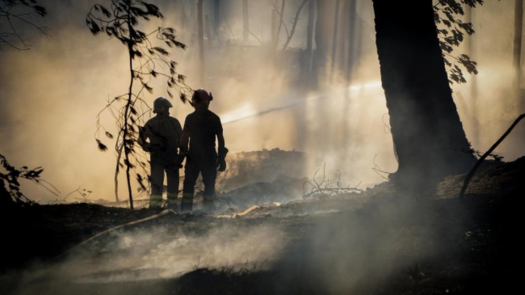 Pożary lasów w Chorwacji i Czarnogórze