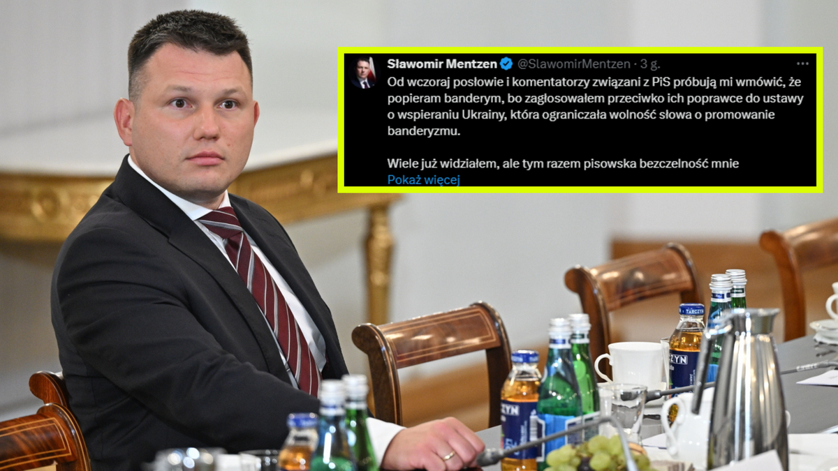 Mentzen uderza w PiS po sejmowym głosowaniu. "Przygłupy"
