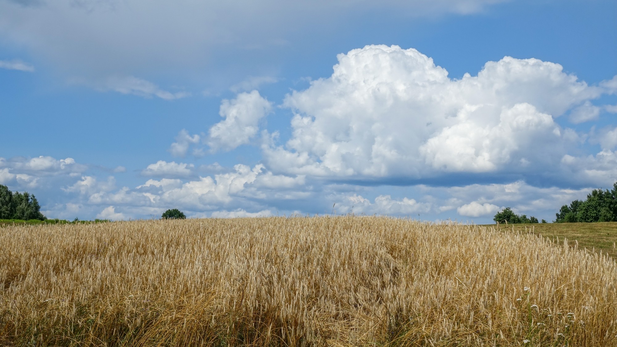 Lipiec w obiektywie - zdjęcie 10
