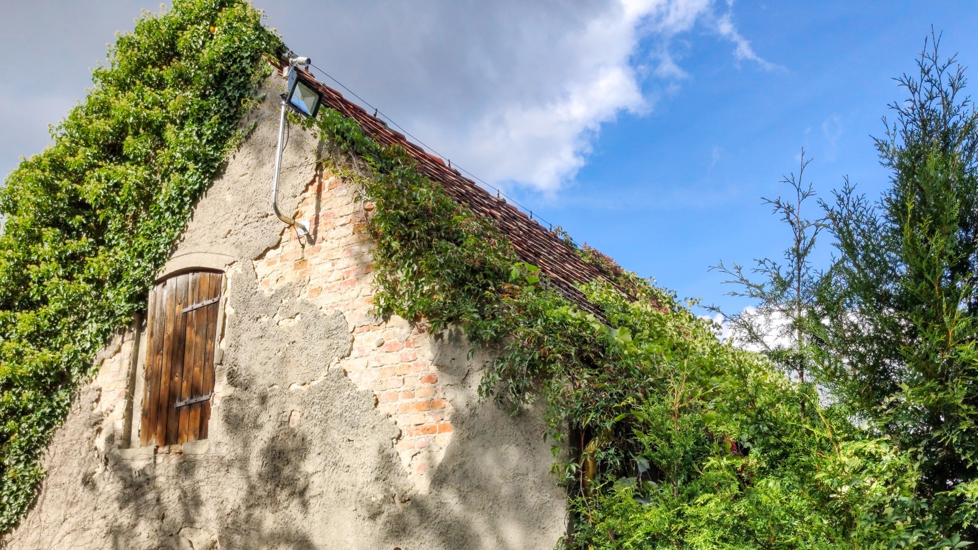 Wrzesień w obiektywie - zdjęcie 10