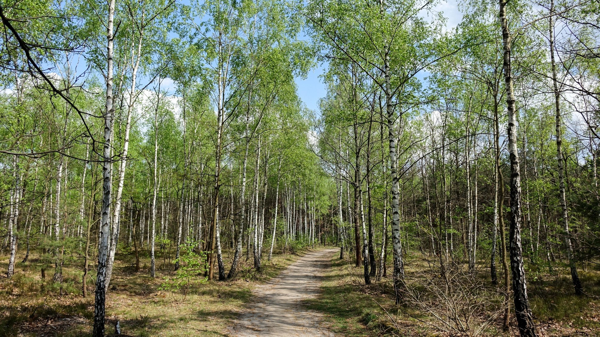 Maj w obiektywie - zdjęcie 36