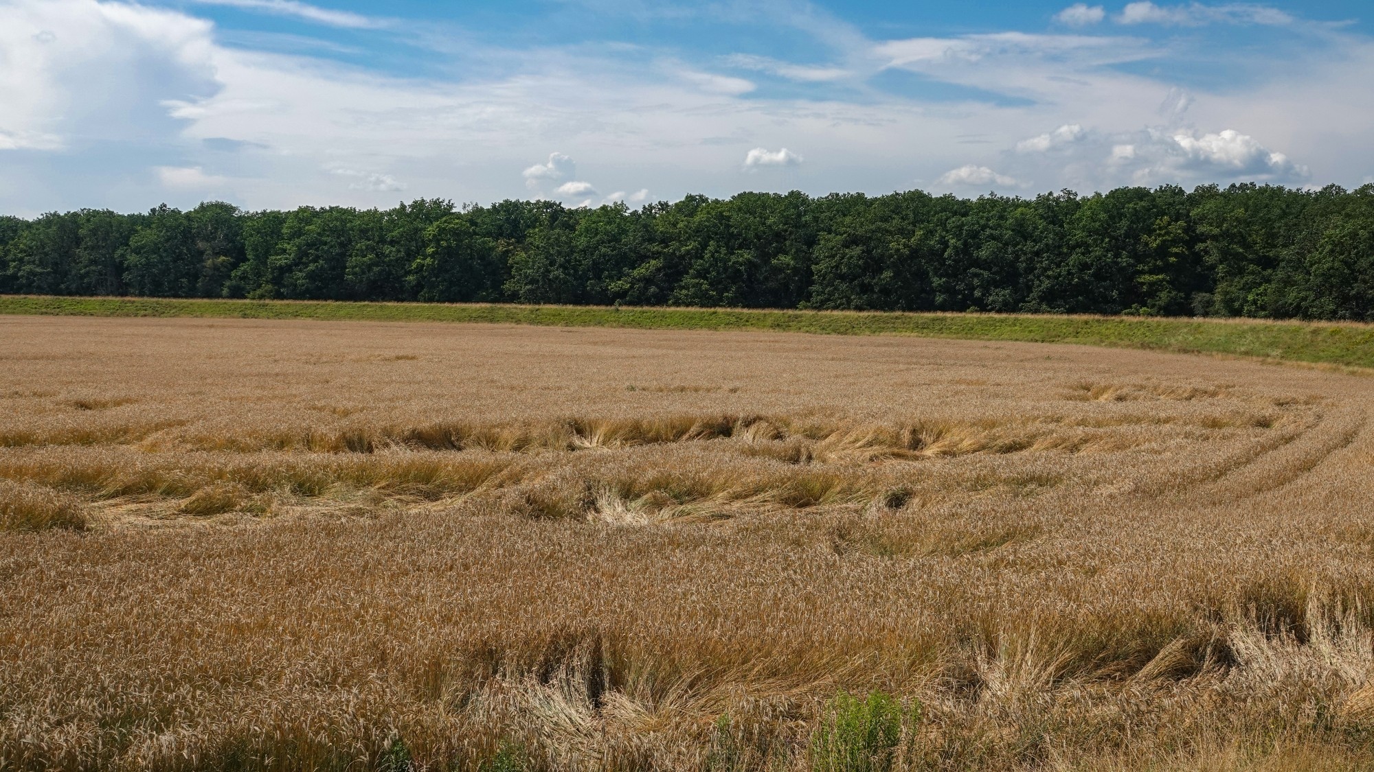 Środek lata w plenerze - zdjęcie 49
