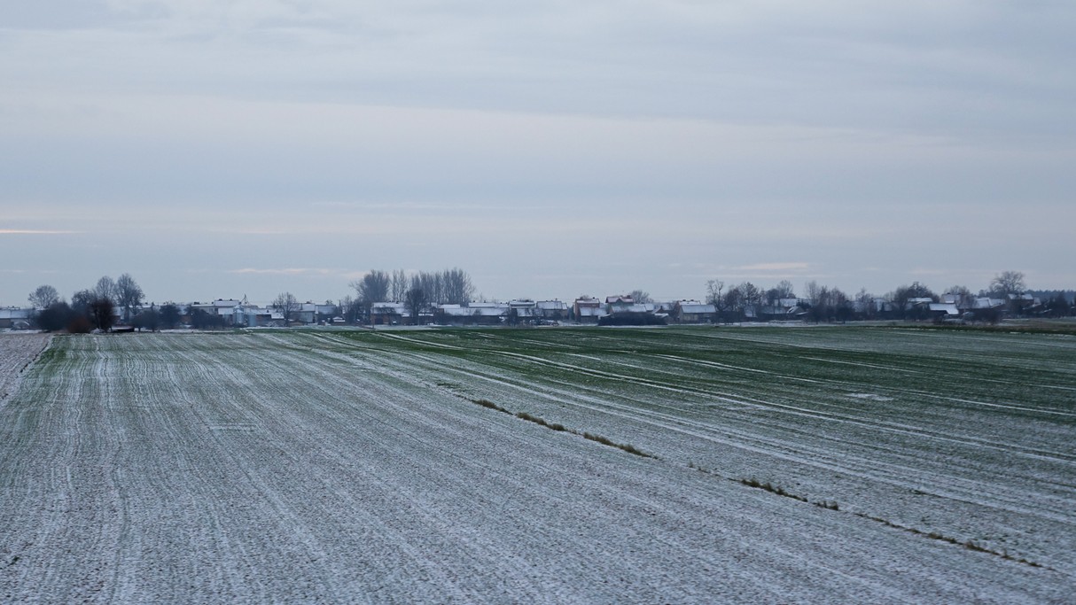 Styczeń w obiektywie - zdjęcie 62