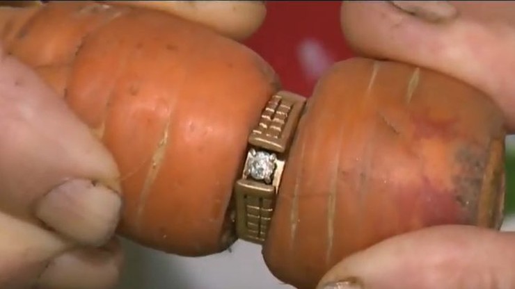 Zgubiony pierścionek zaręczynowy po 13 latach odnalazł się w... marchewce