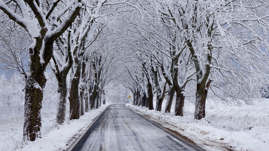 27.02.2019 11:00 Najpierw przeszło 15 stopni ciepła, potem duże ochłodzenie aż do śniegu i całodobowego mrozu