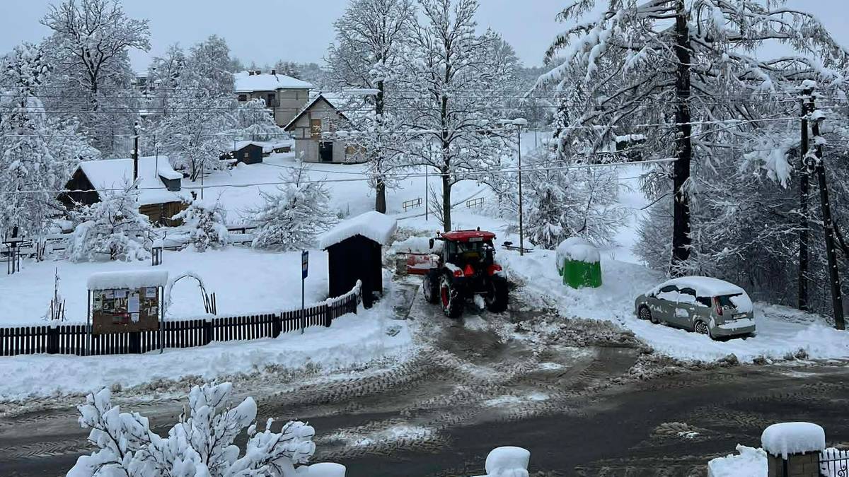 Podkarpacie zmaga się ze skutkami śnieżycy, służby usuwają powalone drzewa