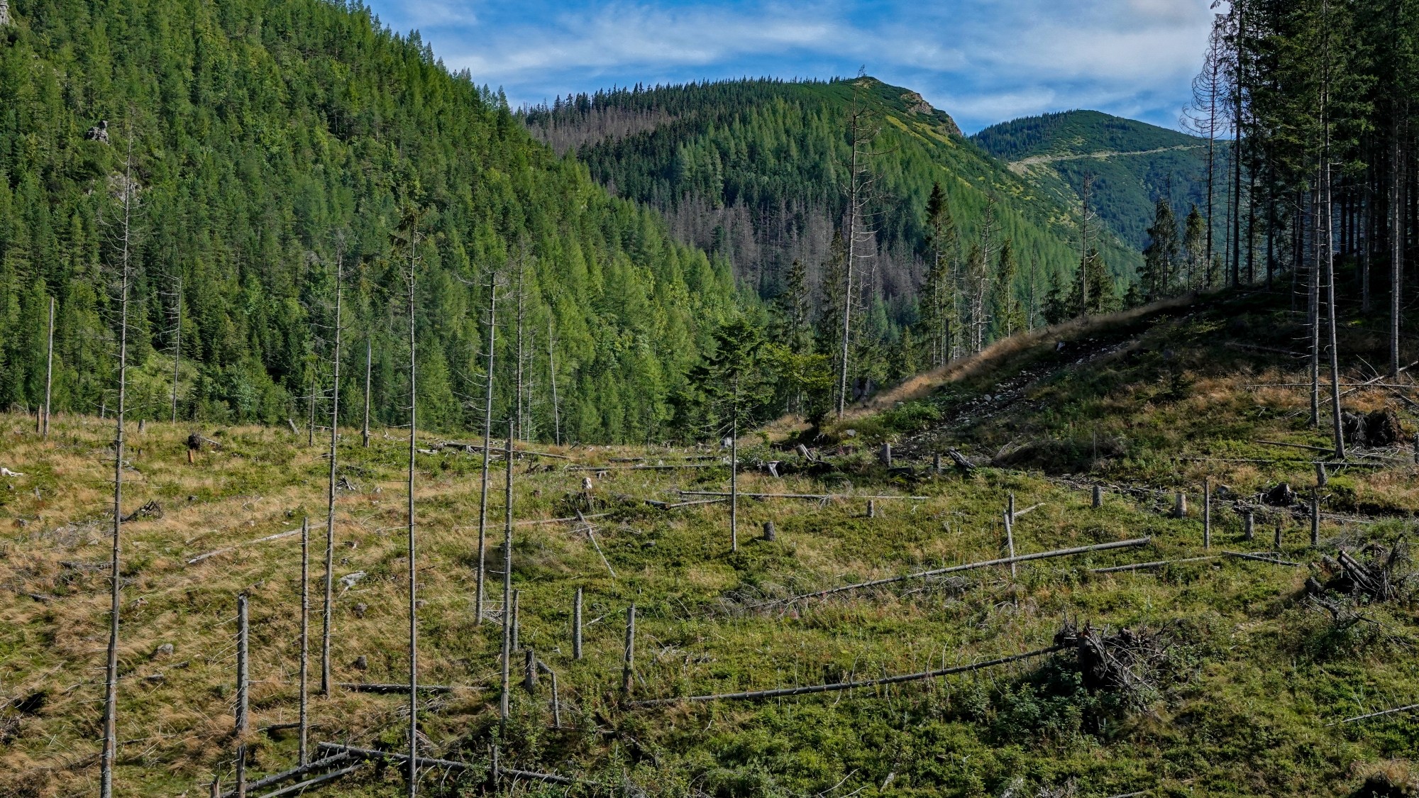 Piękno Tatr tuż przed opadami śniegu - zdjęcie 7