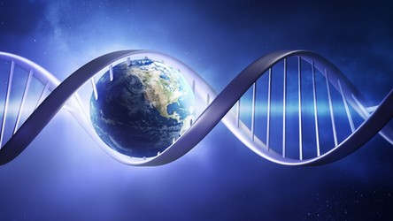 31.07.2021 08:00 LifeShip chce umieścić Wasze DNA na Księżycu, by uratować ludzkość