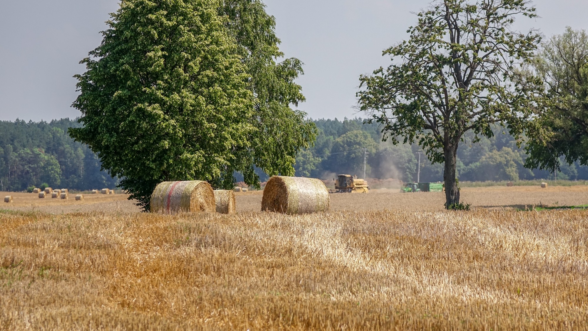 Odkryj piękno Polski w wakacje - zdjęcie 92