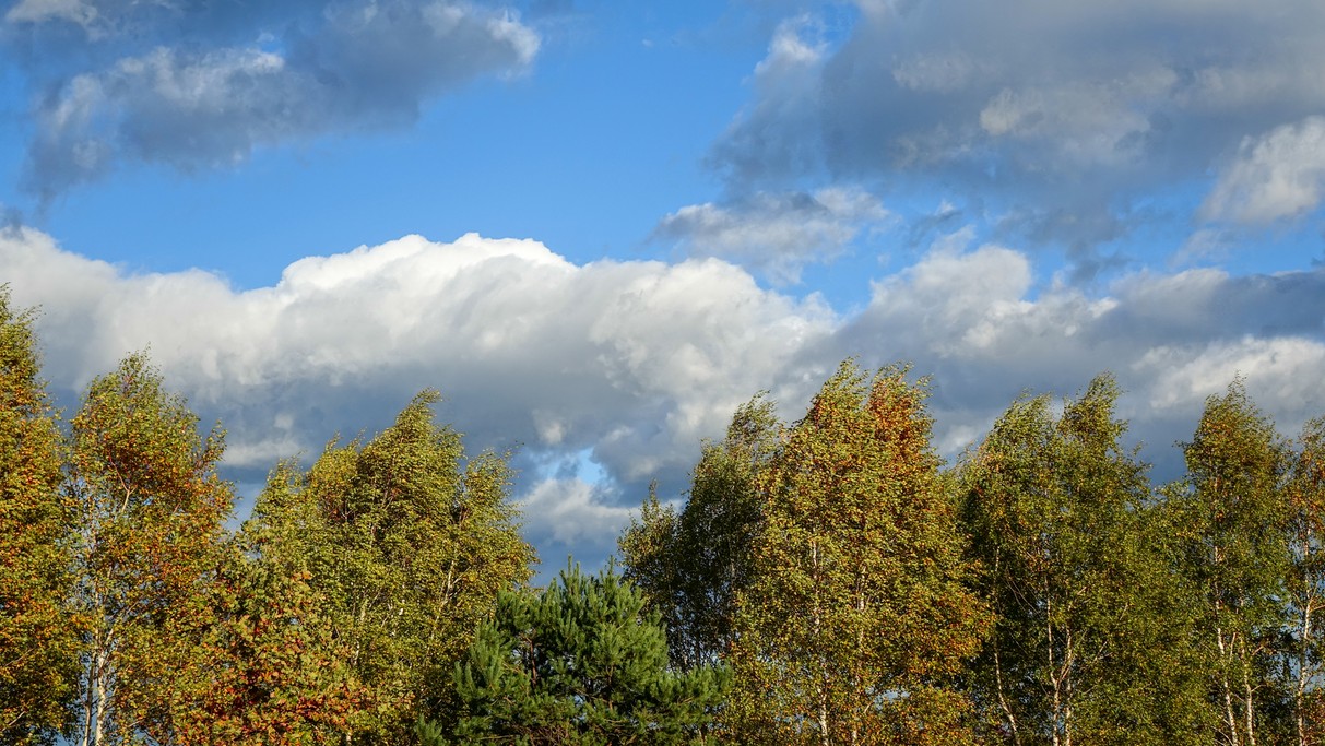 Jesienne krajobrazy za miastem - zdjęcie 70