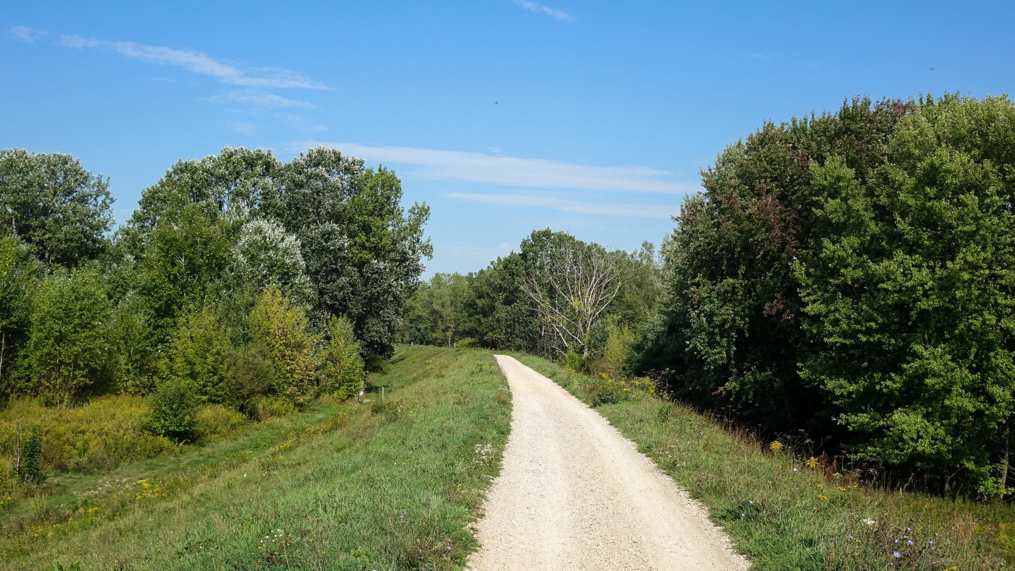 Późne lato na łonie natury - zdjęcie 8