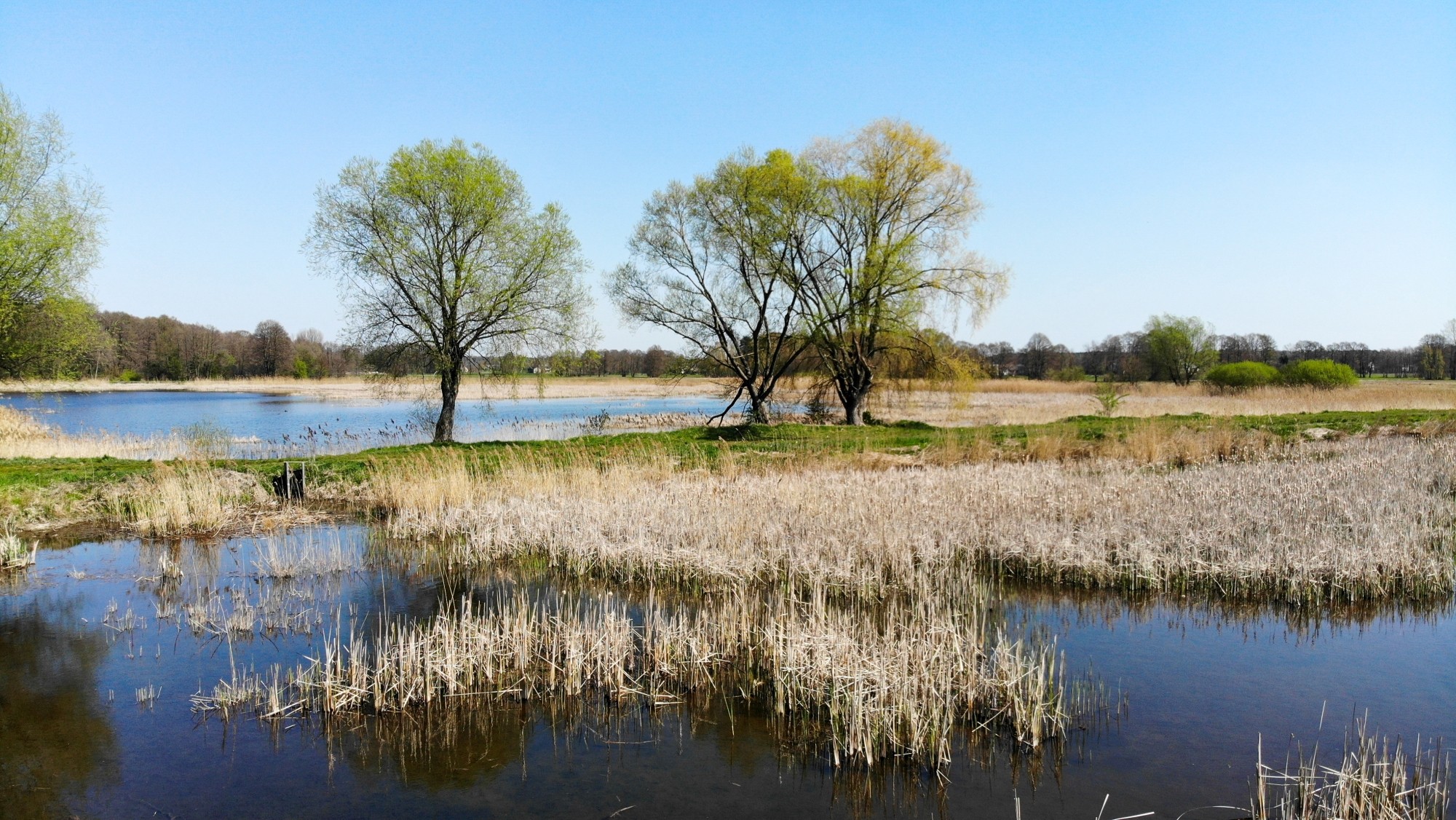 Wiosna w Polsce okiem drona - zdjęcie 12