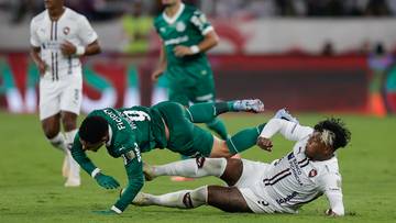 Copa Libertadores: Palmeiras - LDU Quito. Relacja live i wynik na żywo