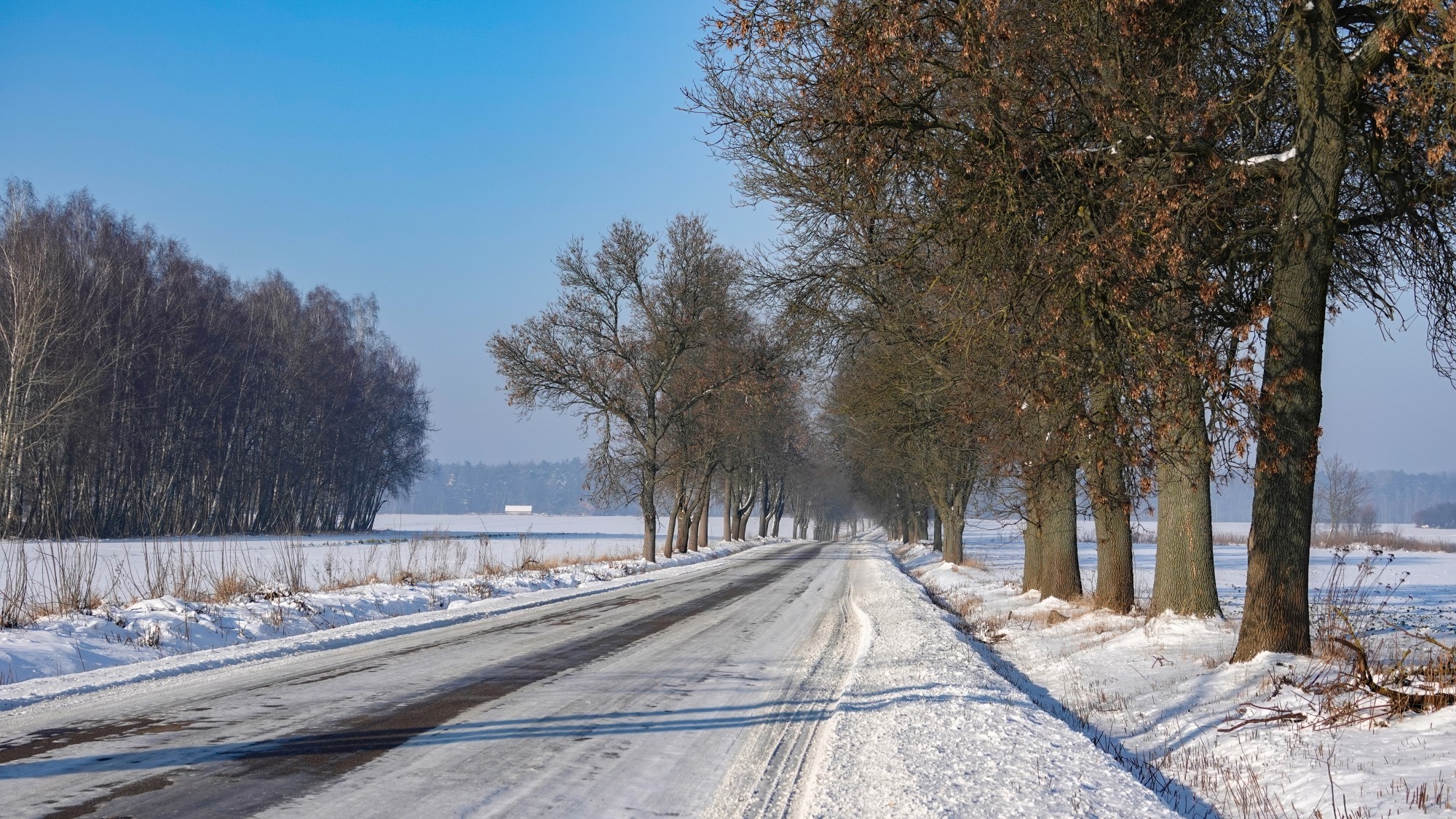 100 najpiękniejszych zdjęć 2021 roku - zdjęcie 37