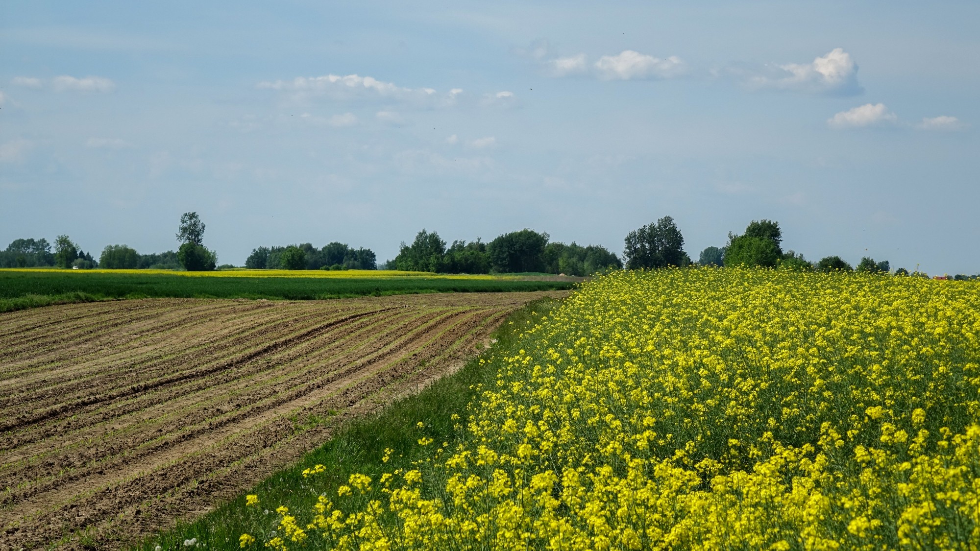 Maj w obiektywie - zdjęcie 55