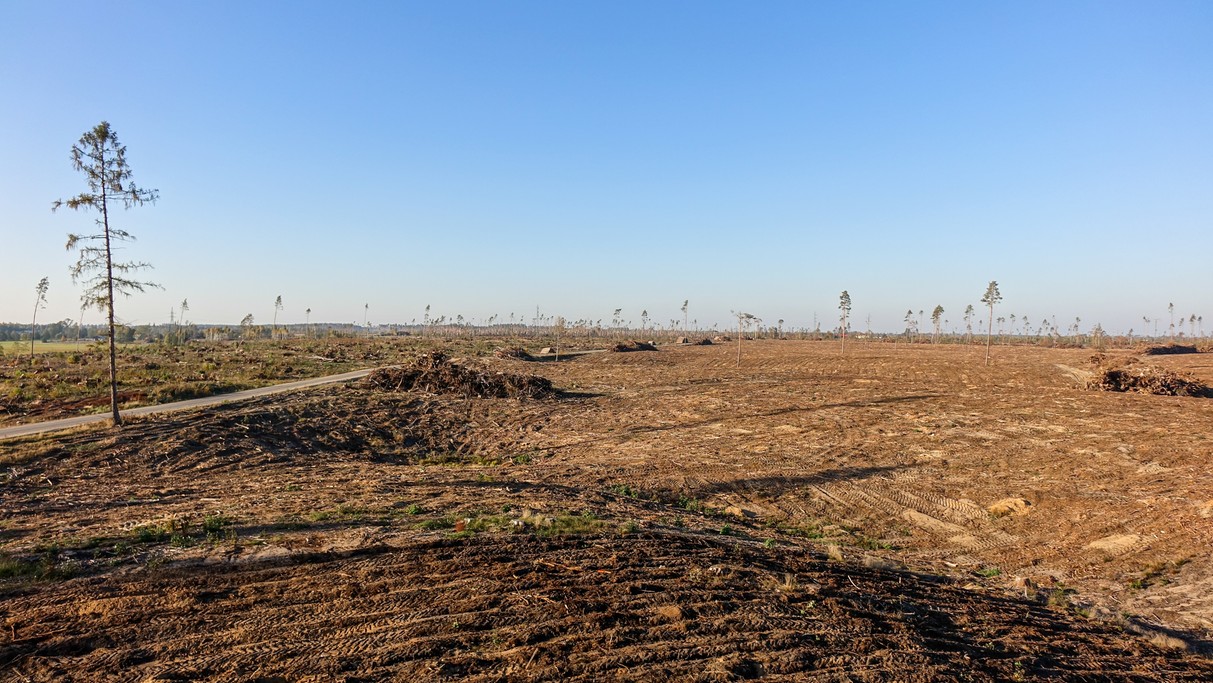 Polskie krajobrazy w 2018 roku - zdjęcie 63