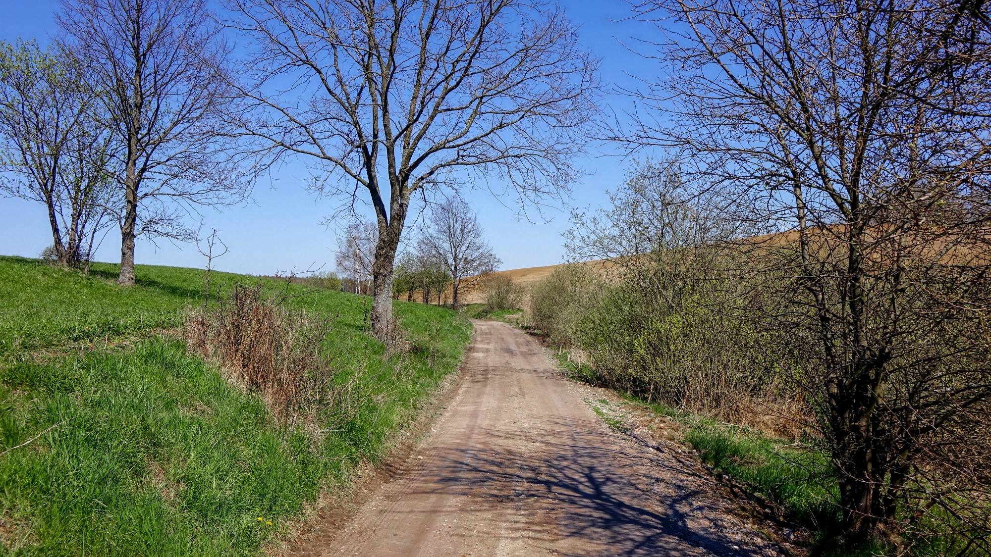 Mazury wiosną - zdjęcie 53