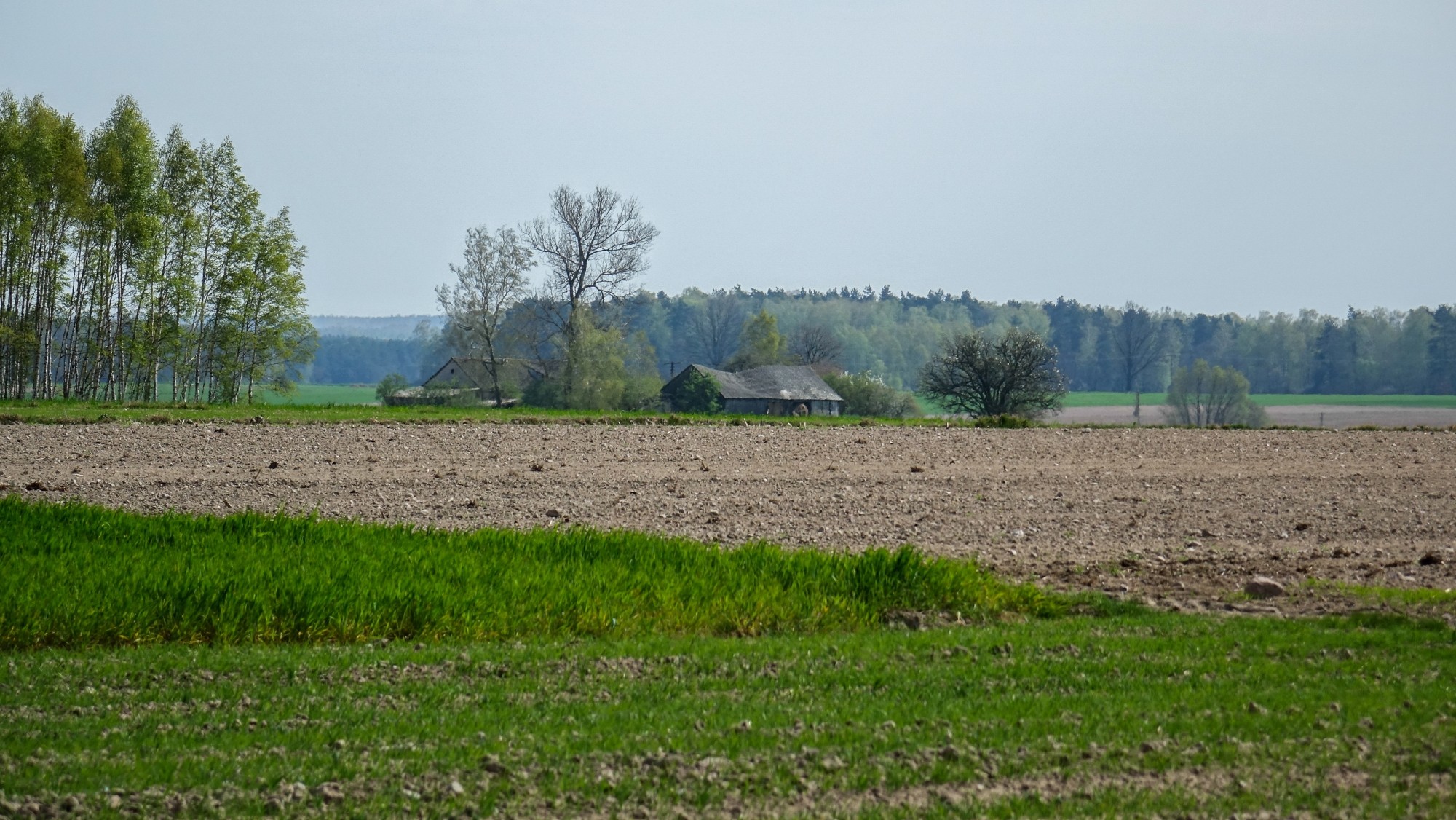 Podróż przez wiosenną Polskę - zdjęcie 37
