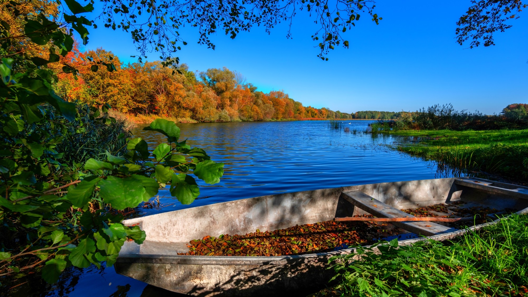 Piękny listopad - zdjęcie 15