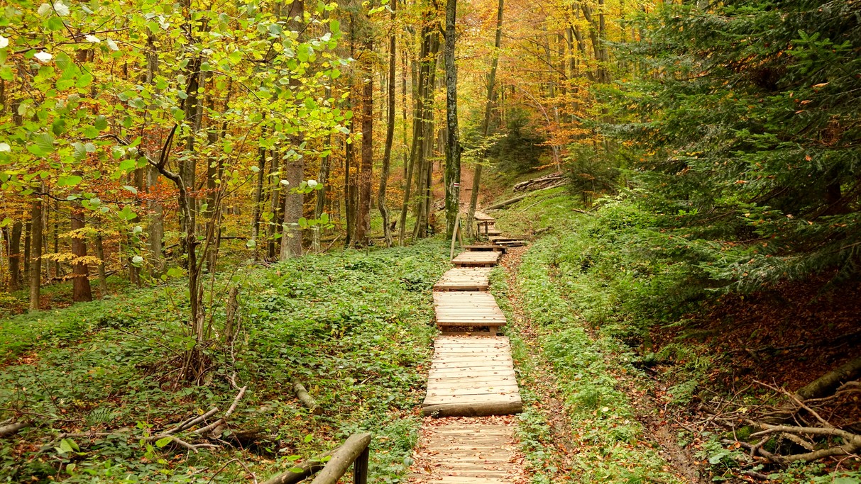 Piękno polskich krajobrazów - zdjęcie 32