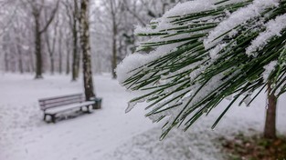 05.01.2021 12:00 Pierwsze opady śniegu w tym roku. Tak wyglądają w spowolnieniu [FILM]