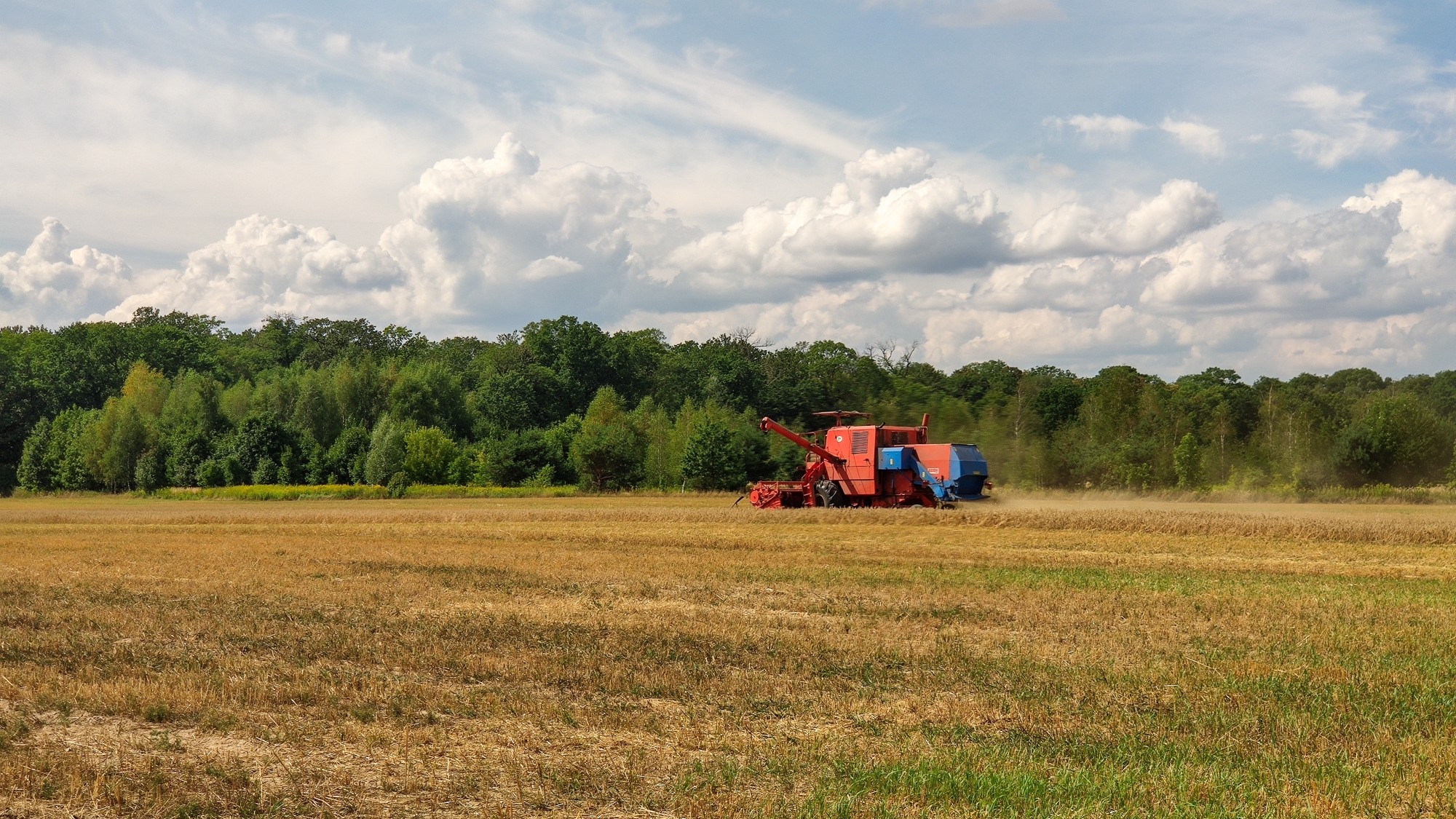 Sierpień w obiektywie - zdjęcie 29