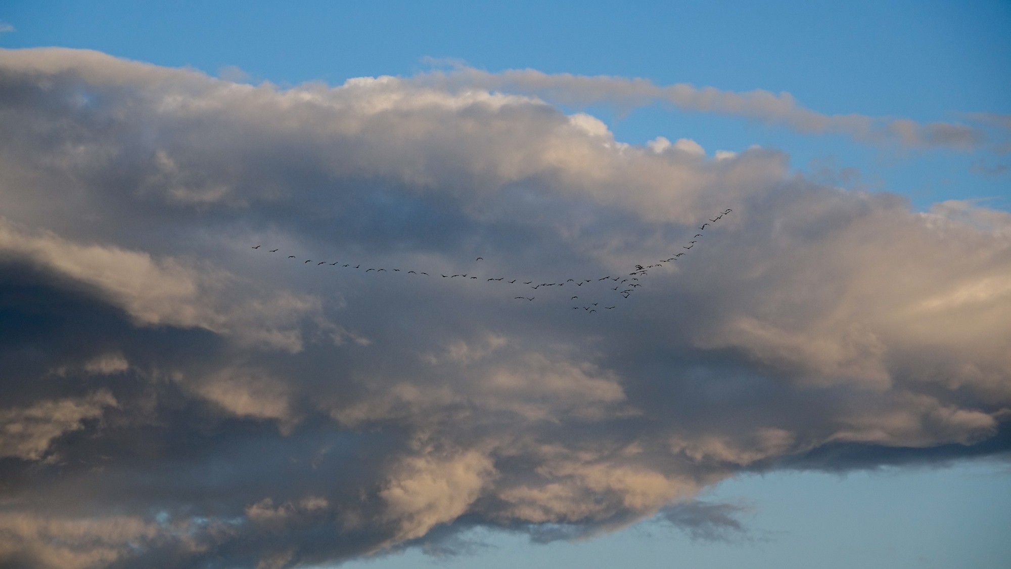 Wrzesień w obiektywie - zdjęcie 17