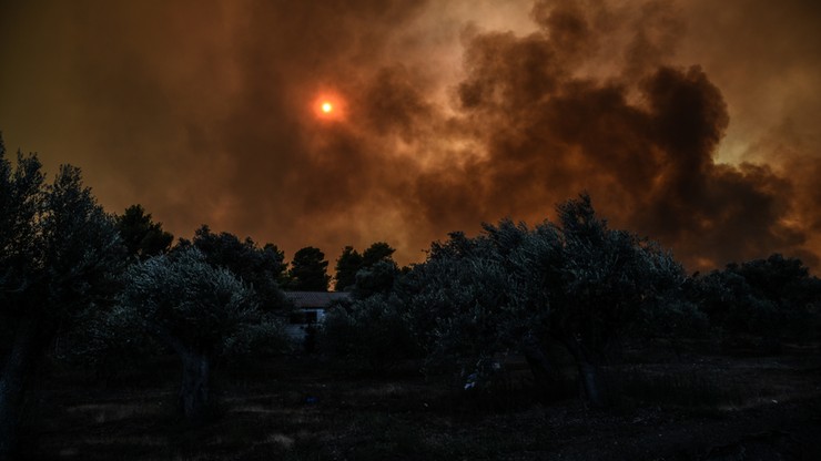 Ewakuowano dwie miejscowości na greckiej wyspie Eubea z powodu pożarów