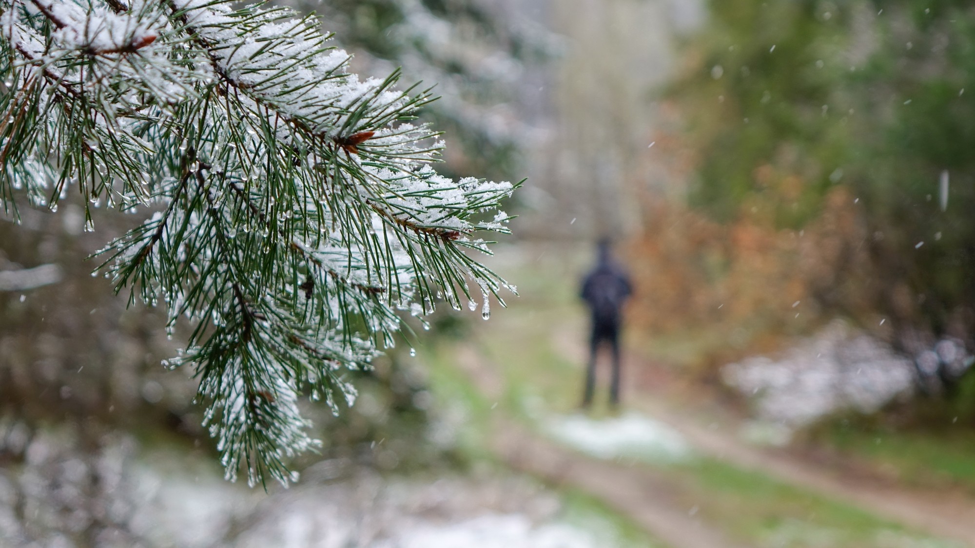 Zima w maju - zdjęcie 15