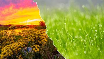 Specjalistka opisała pogodę na najbliższe dni. Wspomina o przeplatance