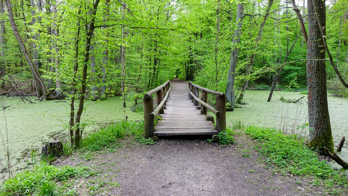 Kwiecień w obiektywie - zdjęcie 46