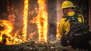 27.04.2020 07:00 Tegoroczne pożary lasów w Amazonii mogą być rekordowe, bo podpalacze wykorzystują epidemię