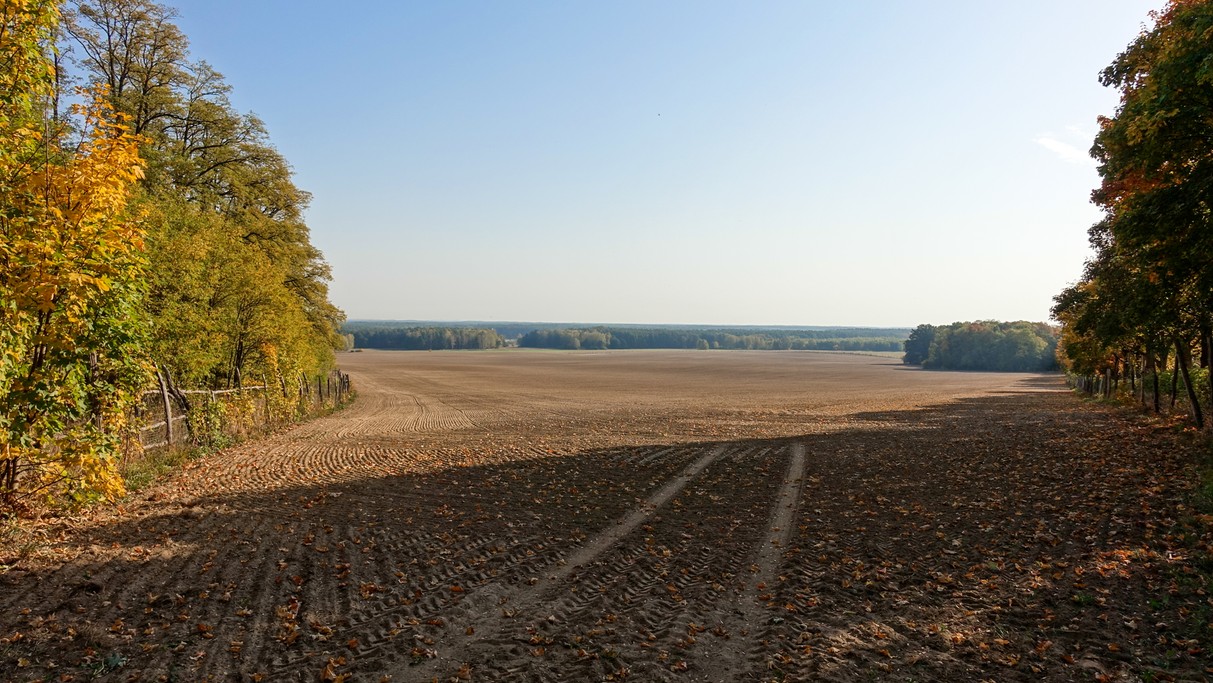 Podróż przez jesienną Polskę - zdjęcie 59
