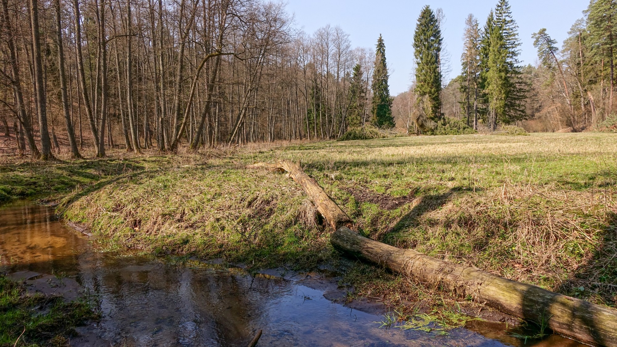Mazury wiosną - zdjęcie 54