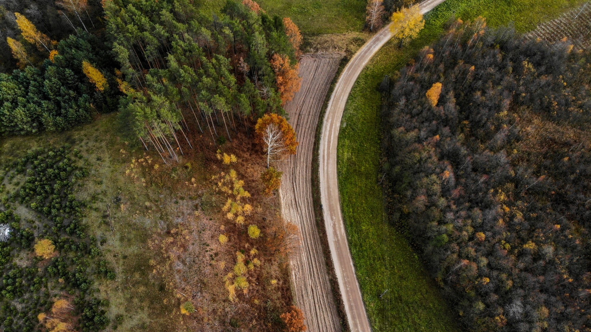 Jesień na nizinach z lotu ptaka - zdjęcie 17