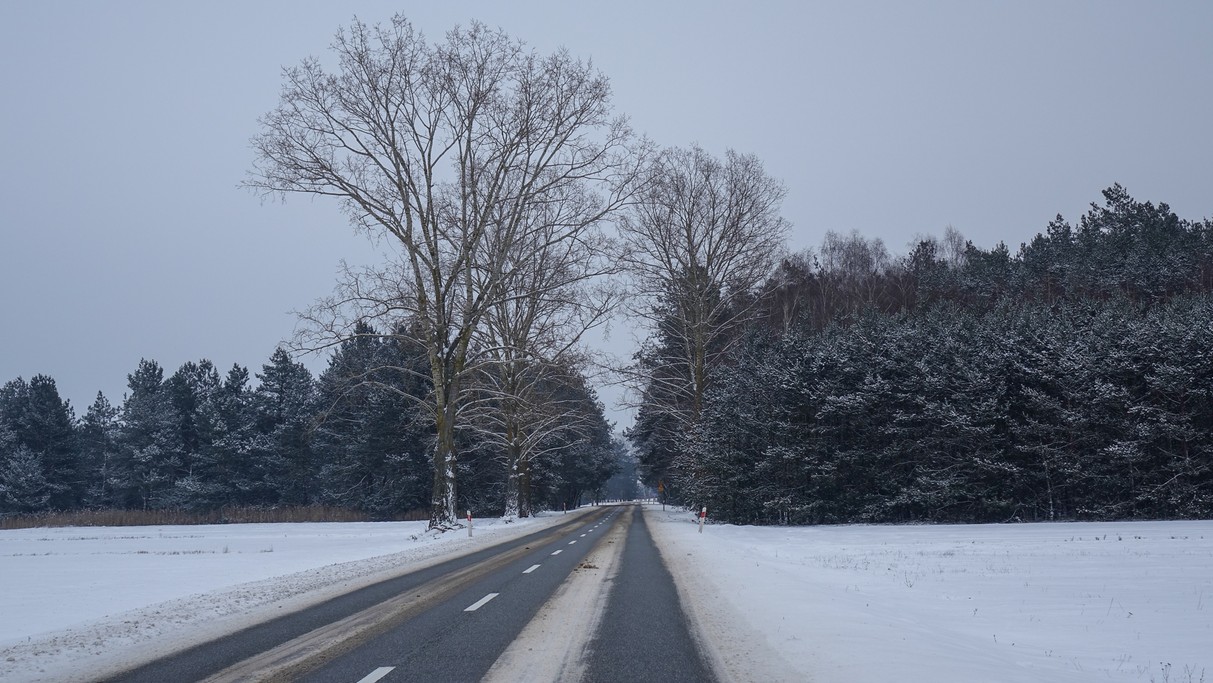 Styczeń w obiektywie - zdjęcie 51
