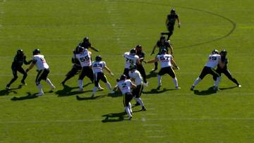 Drużyna graczy w futbol amerykański w czarnych i białych strojach rywalizuje na zielonej murawie boiska.