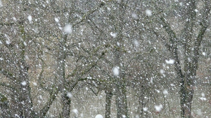 Intensywne opady śniegu na Dolnym Śląsku. Ostrzeżenie IMGW
