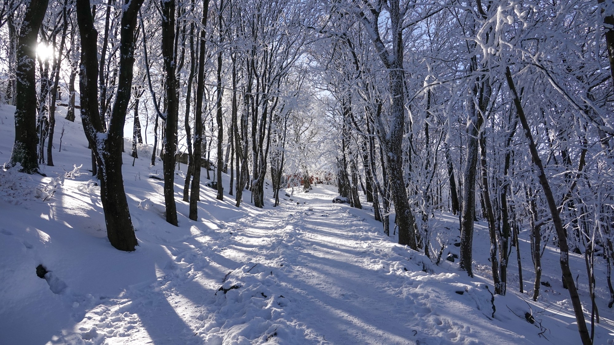 Kraina Narnii - zdjęcie 30