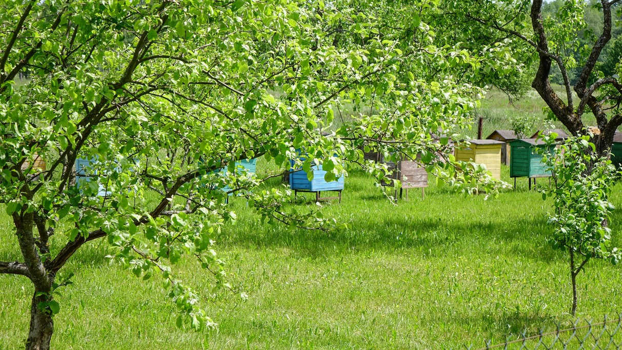 Białowieski Park Narodowy - zdjęcie 21