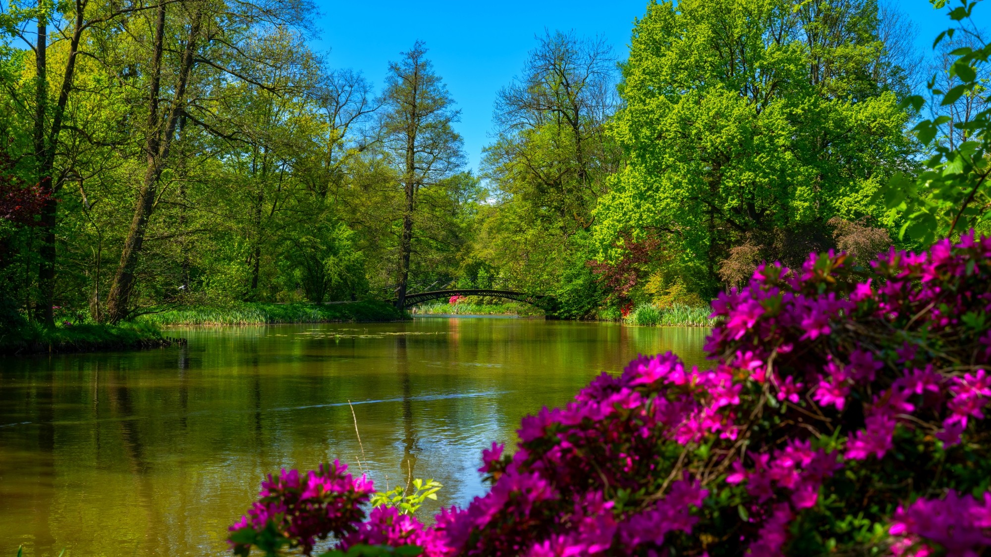 Zachwycający maj - zdjęcie 17