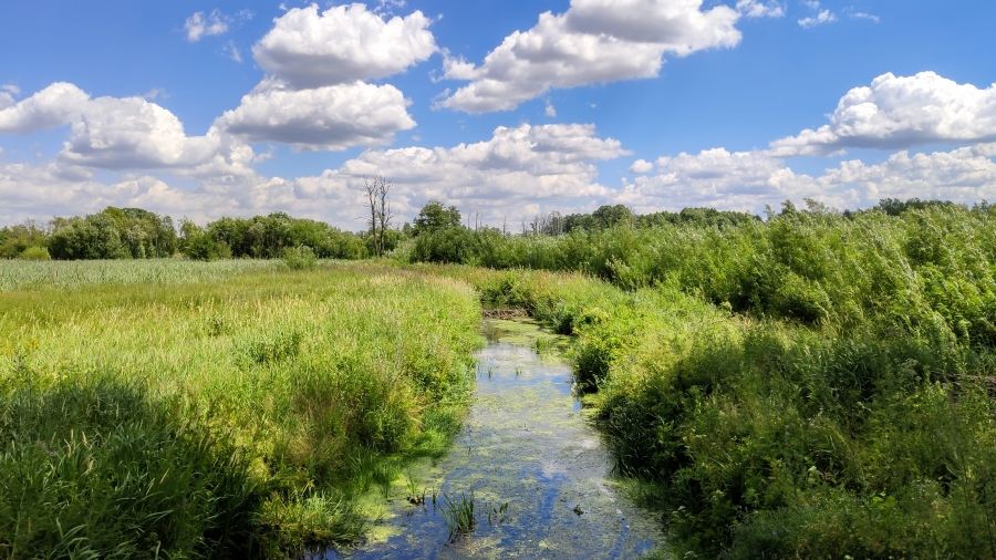 01.08.2019 11:00 Takich krajobrazów pełni lata nie znajdziesz nigdzie indziej. Zobacz piękne zdjęcia lipca z całej Polski